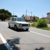 Montevago 2010 (407)
